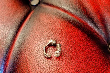 猛禽類の爪の回♪