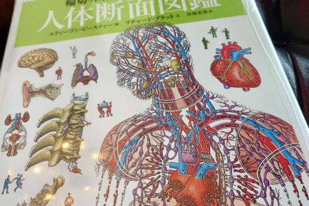 輪切り図鑑②☆人体断面図鑑の回♪